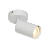 Picard 1 Light Spotlight